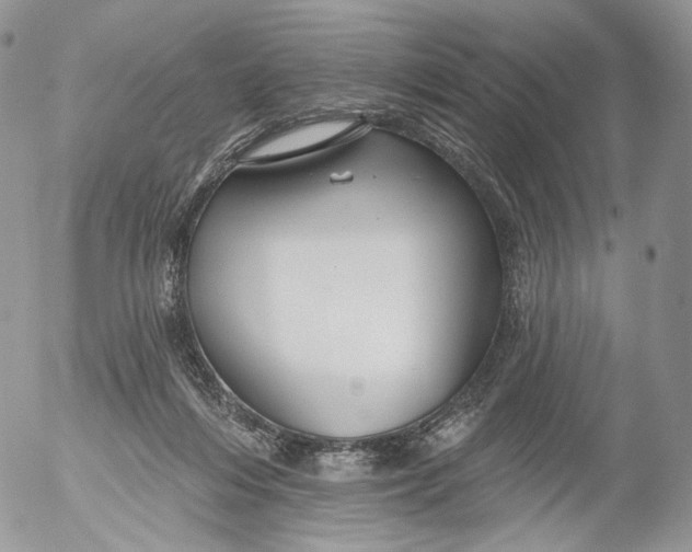 X0000053120216200508012200