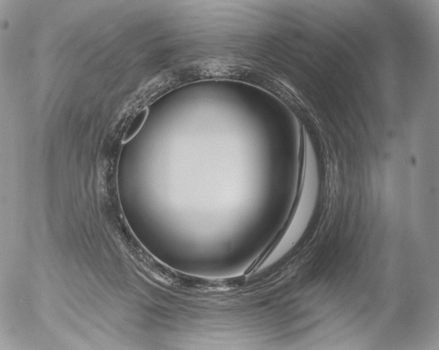 X0000053120217200508012200