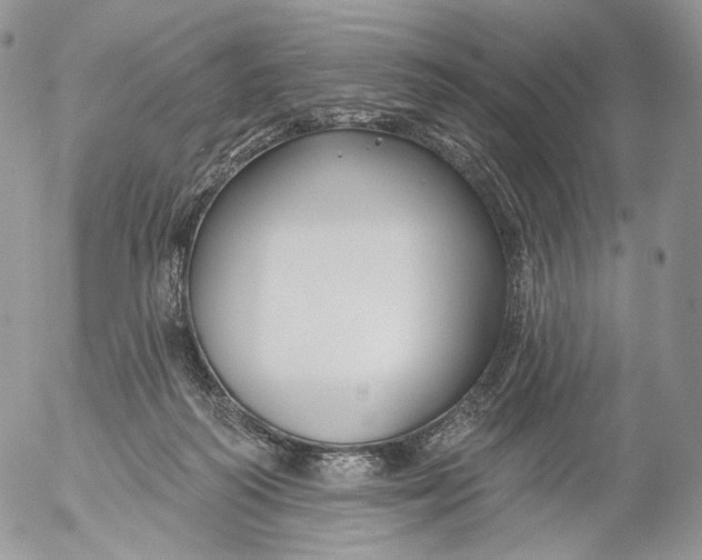 X0000053120218200508012200