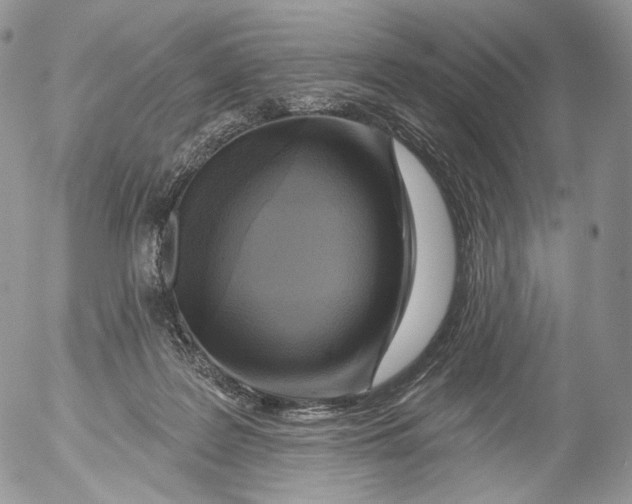 X0000053120219200508012200