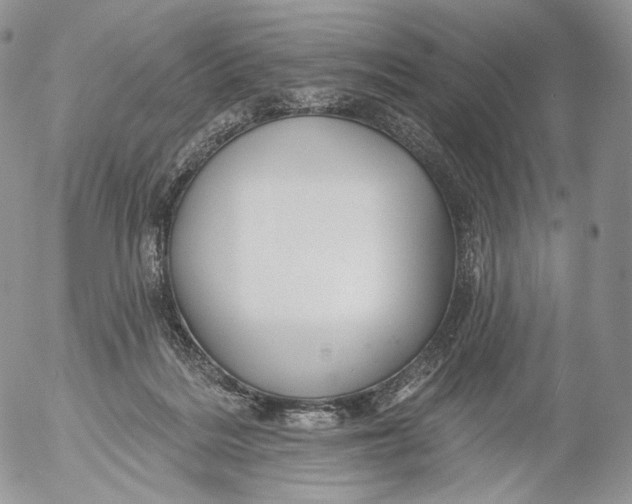 X0000053120220200508012200