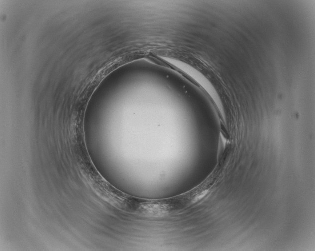 X0000053120221200508012200