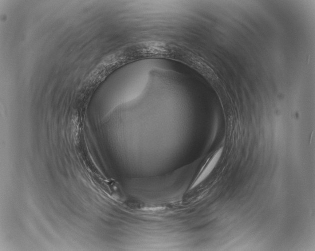 X0000053120223200508012200