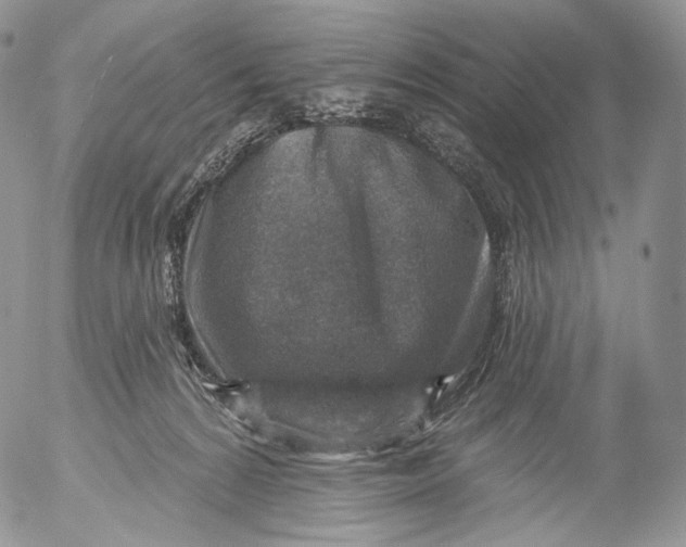 X0000053120224200508012200