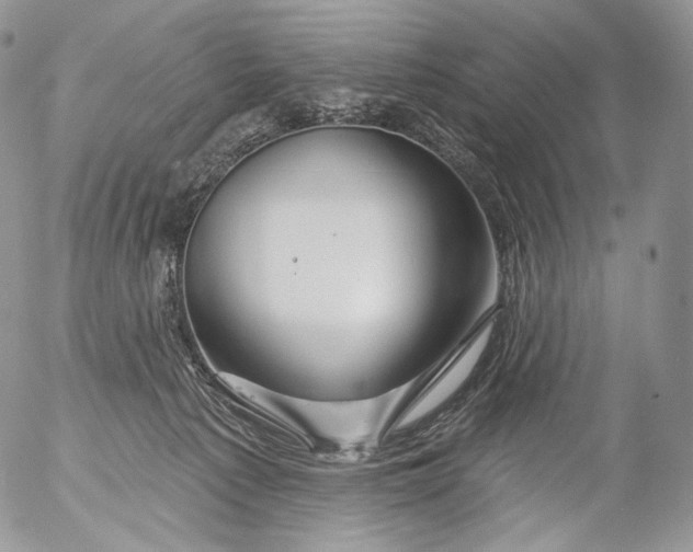 X0000053120225200508012200