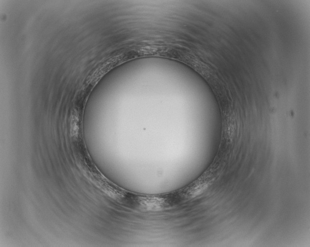 X0000053120226200508012200