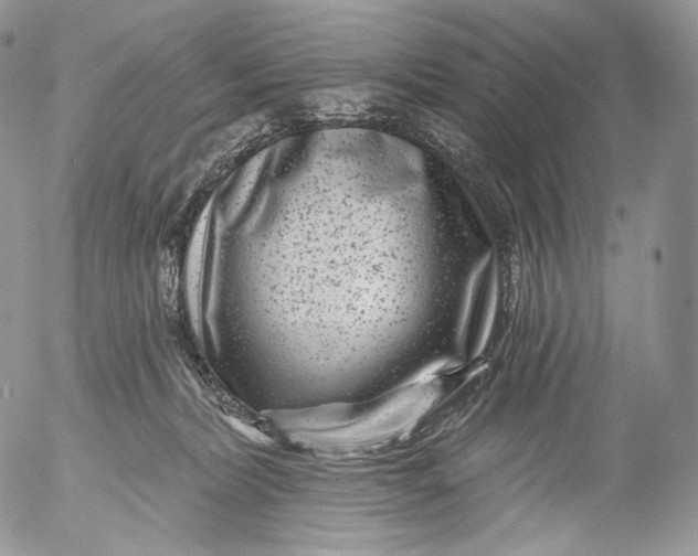 X0000053120228200508012200