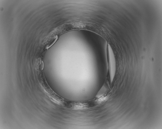 X0000053120229200508012200