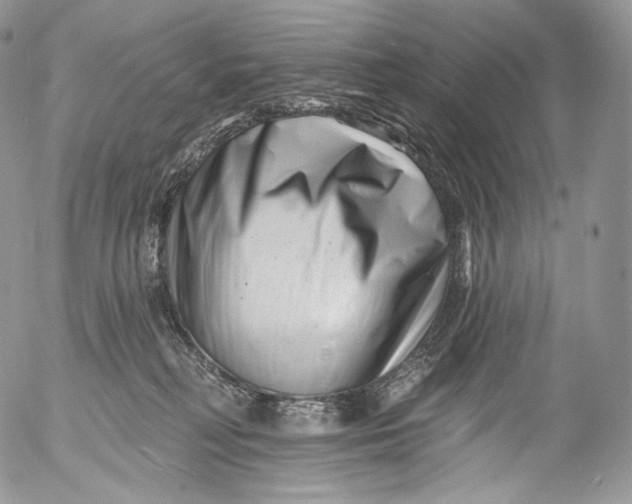 X0000053120230200508012200