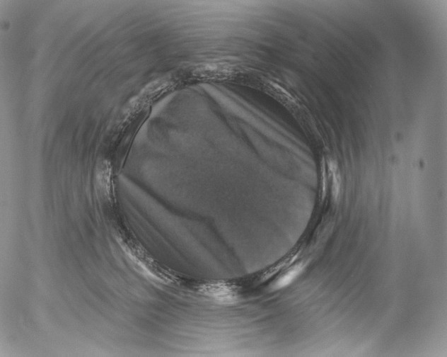 X0000053120231200508012200