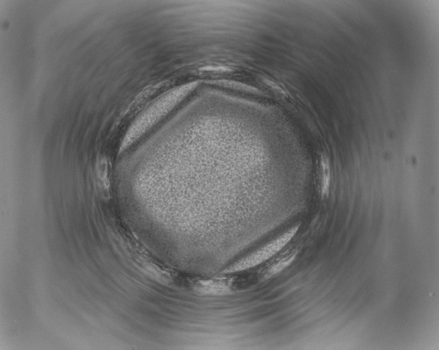 X0000053120232200508012200