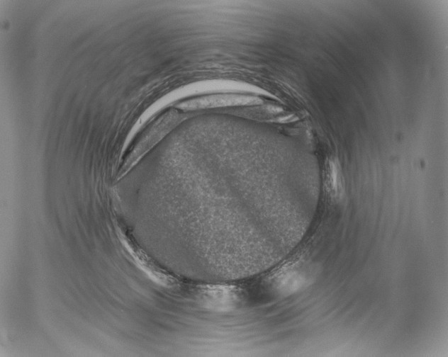 X0000053120233200508012200