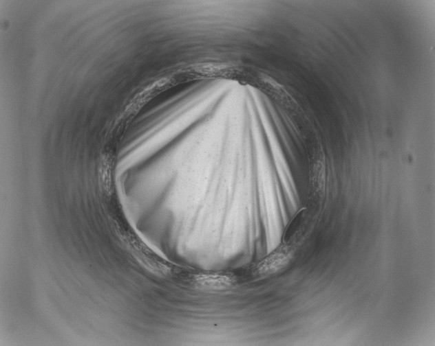 X0000053120234200508012159