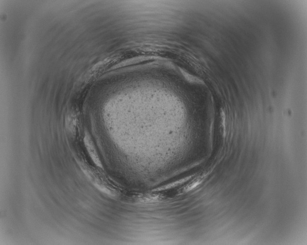 X0000053120235200508012159