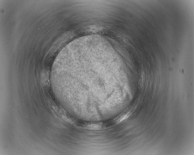 X0000053120236200508012159