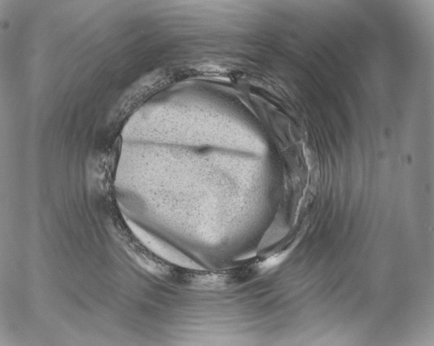 X0000053120237200508012159