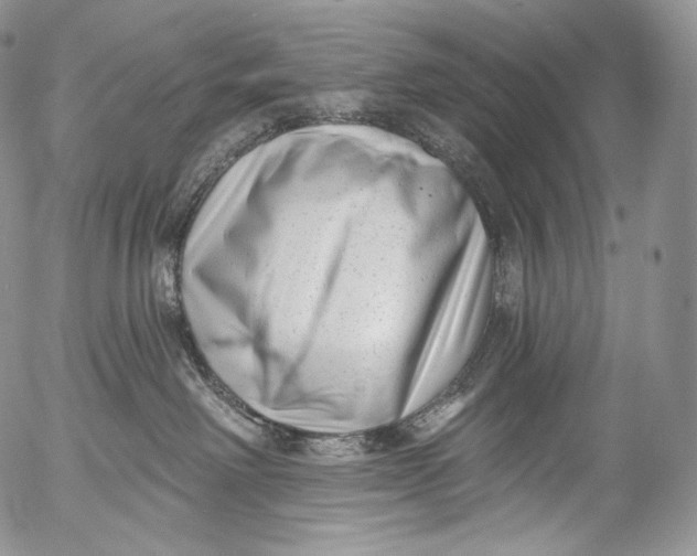 X0000053120238200508012159