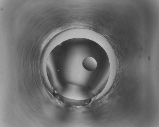 X0000053120244200508012159