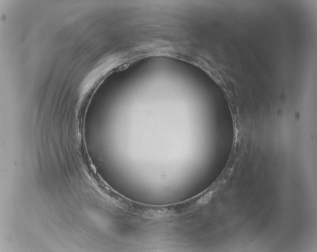 X0000053120245200508012159