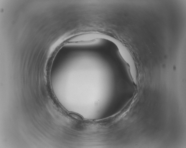 X0000053120246200508012159