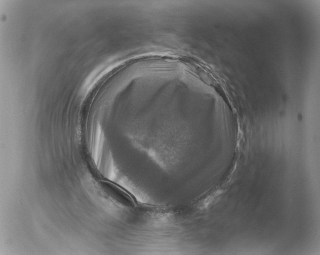 X0000053120247200508012159