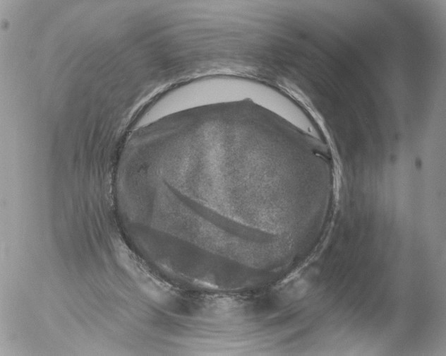 X0000053120249200508012159