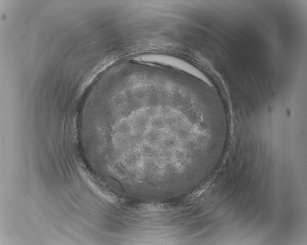 X0000053120250200508012159