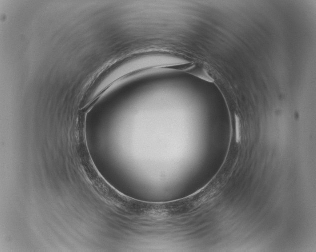 X0000053120252200508012159