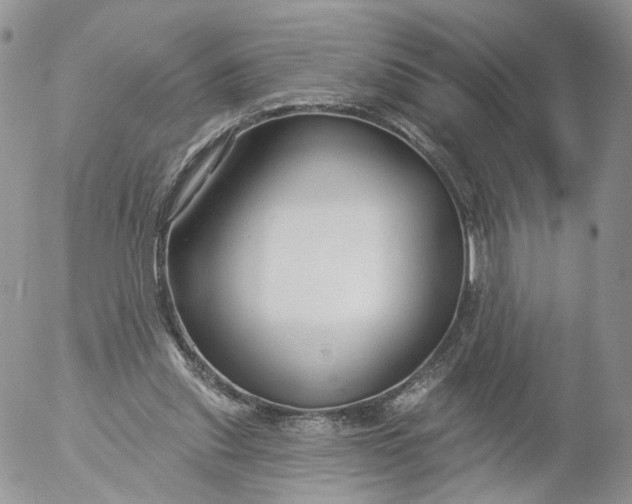 X0000053120253200508012159