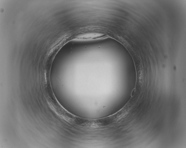 X0000053120254200508012159