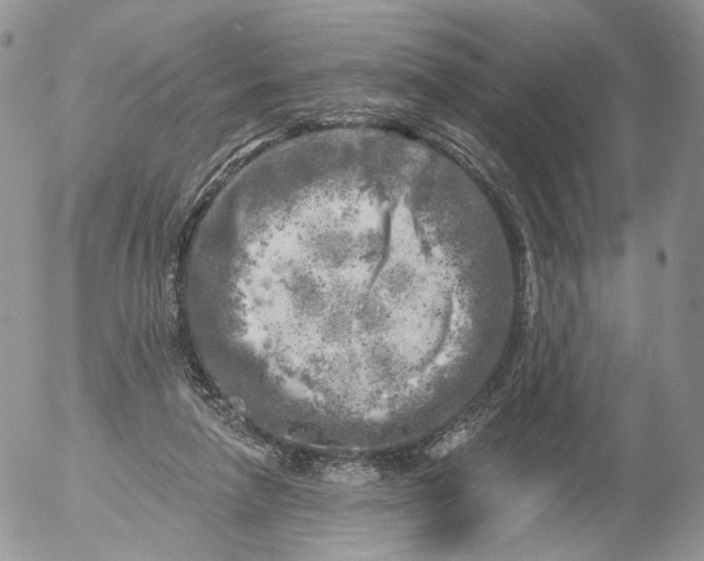 X0000053120258200508012159