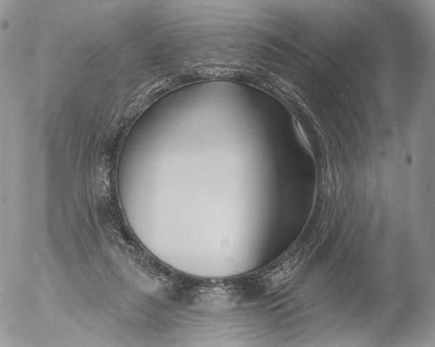 X0000053120259200508012159