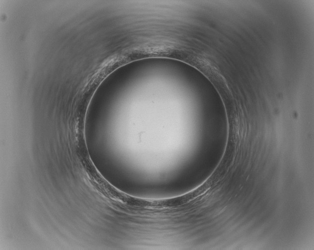 X0000053120260200508012159