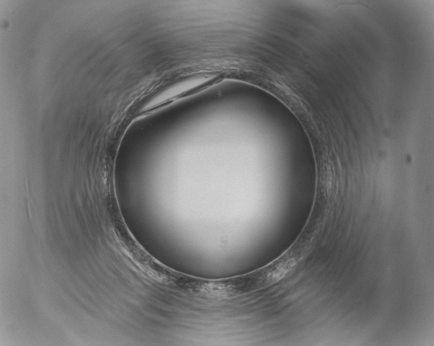 X0000053120261200508012159