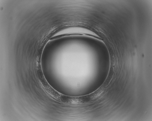 X0000053120264200508012159