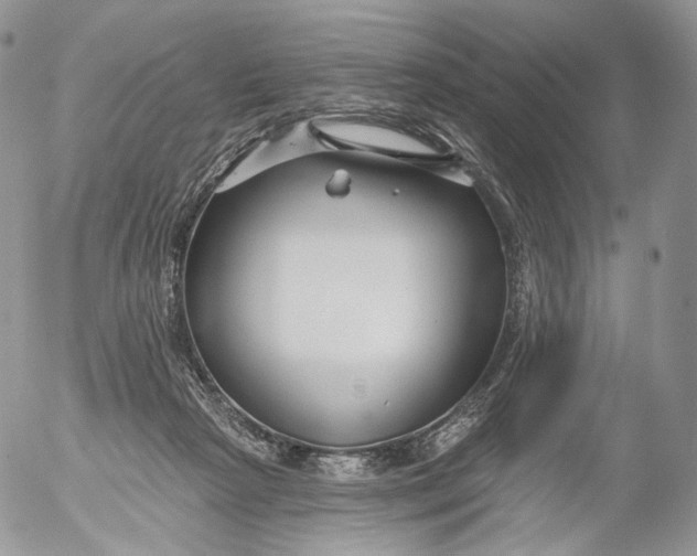 X0000053120265200508012159