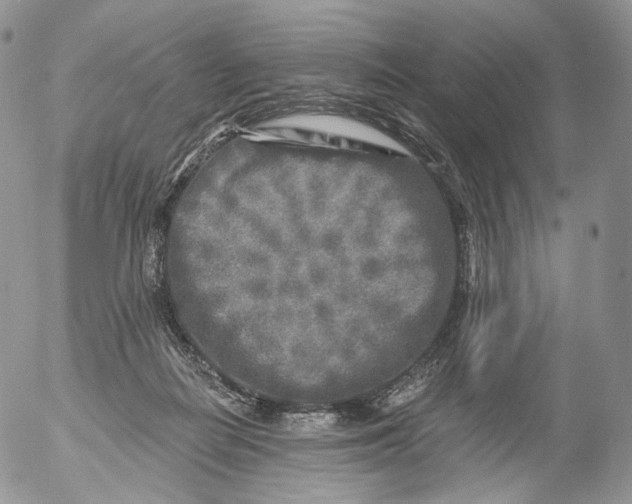 X0000053120266200508012159