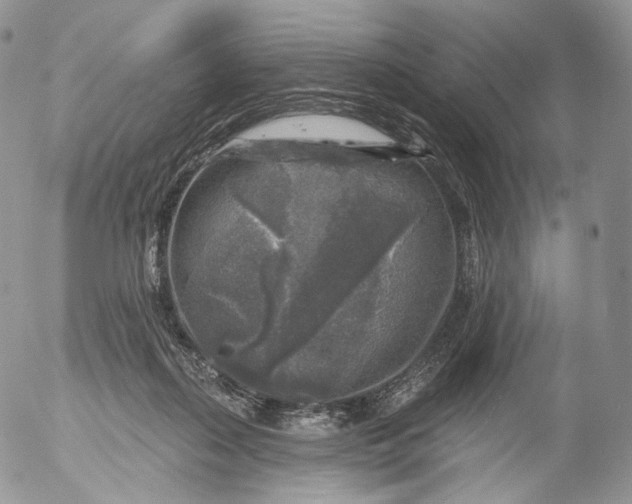 X0000053120267200508012159