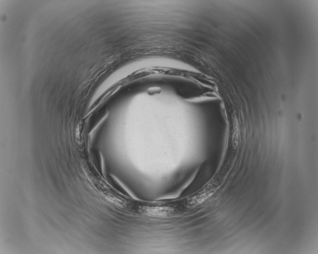 X0000053120268200508012159