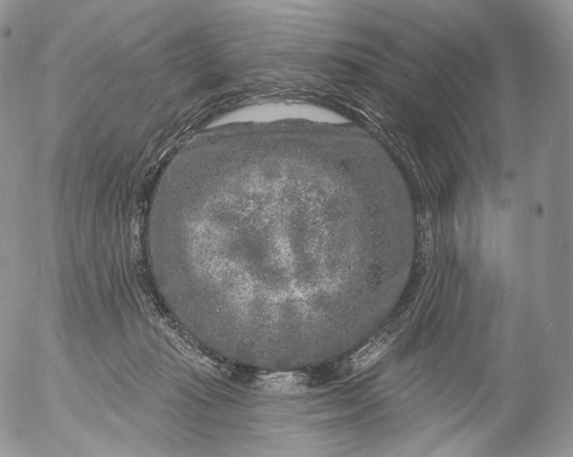 X0000053120269200508012159