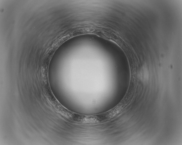 X0000053120270200508012159