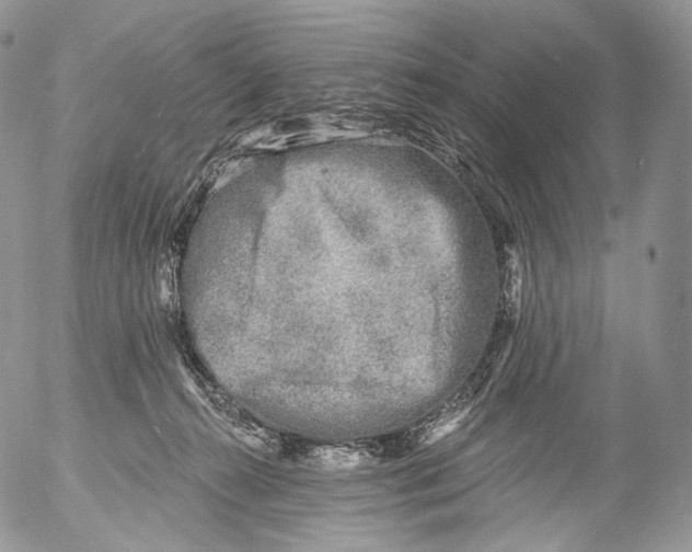 X0000053120272200508012159