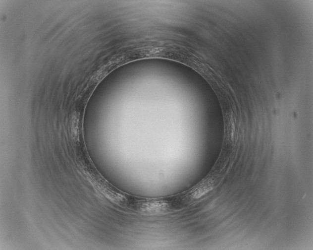 X0000053120274200508012159