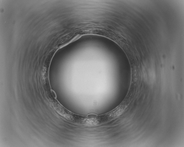 X0000053120275200508012159