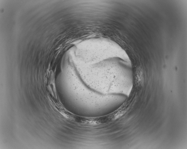 X0000053120276200508012159