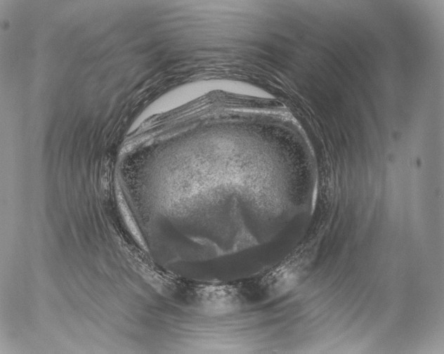 X0000053120277200508012159