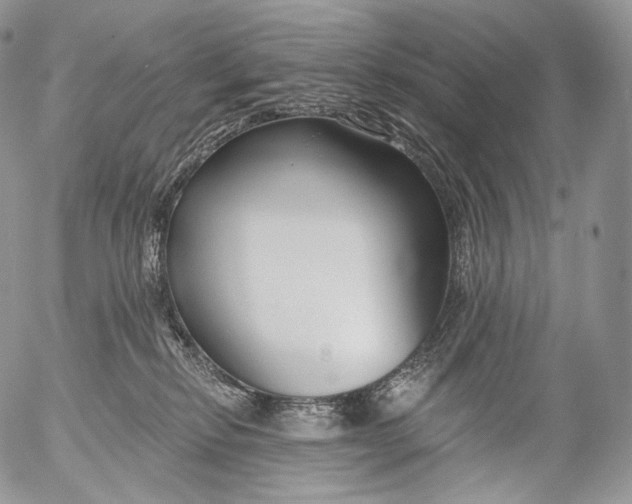 X0000053120278200508012159