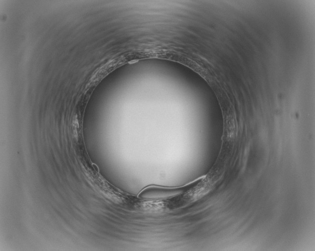 X0000053120279200508012159