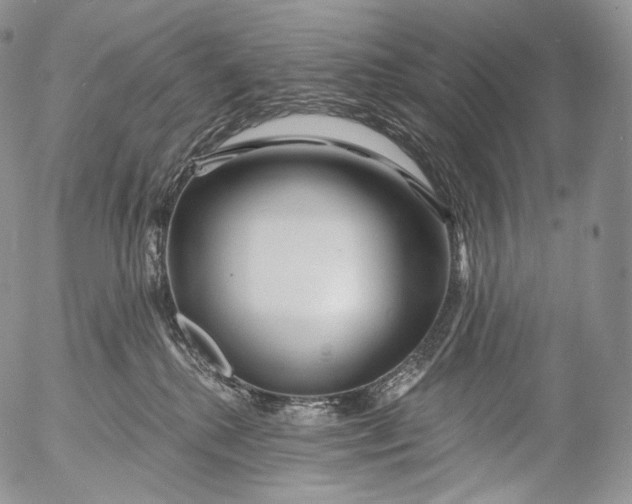 X0000053120280200508012159