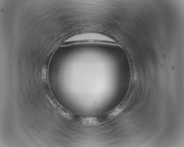 X0000053120281200508012159